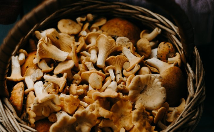 blog image